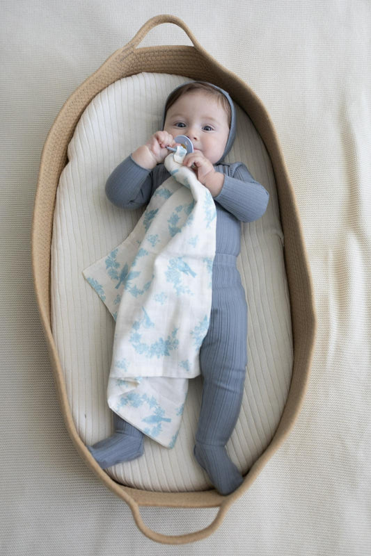 Little Blue Bird Lovey